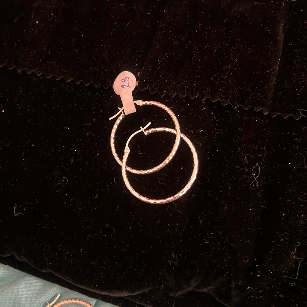 Elegant Silver Hoop Earrings